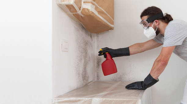 Professional Mold Remediation technician working in Hastings, MI