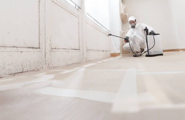 24/7 Emergency Mold Remediation experts in Hastings, MI